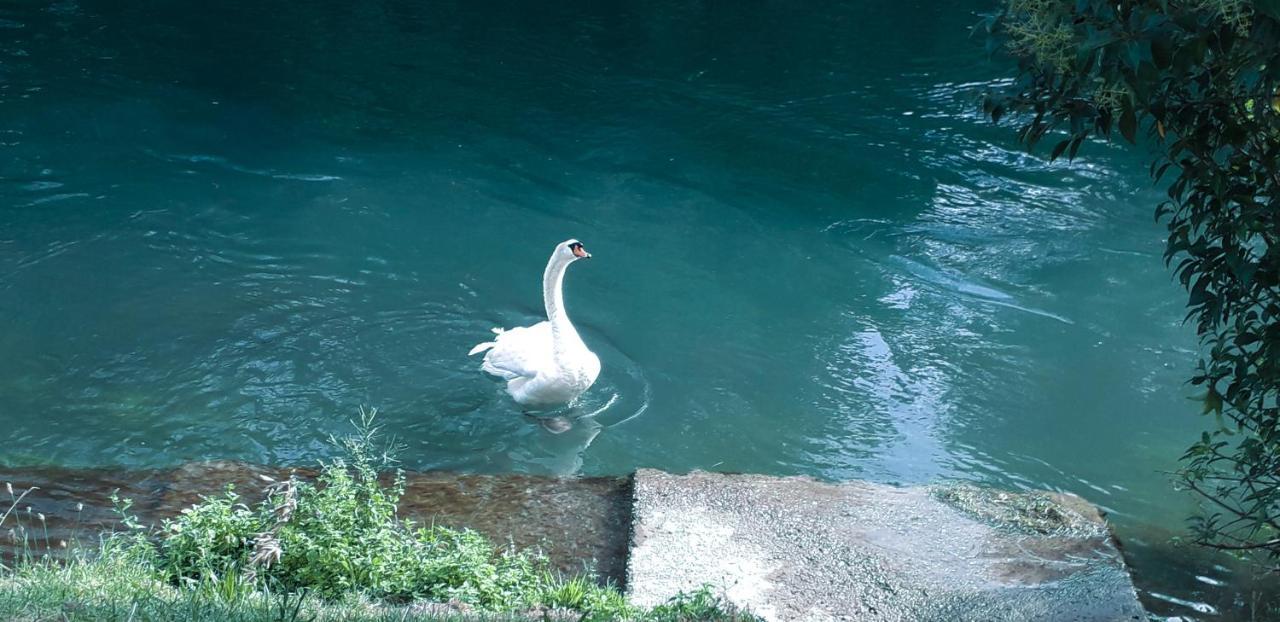 Ampio Appartamento Vicino Al Centro Di Treviso, Parcheggio Gratuito المظهر الخارجي الصورة